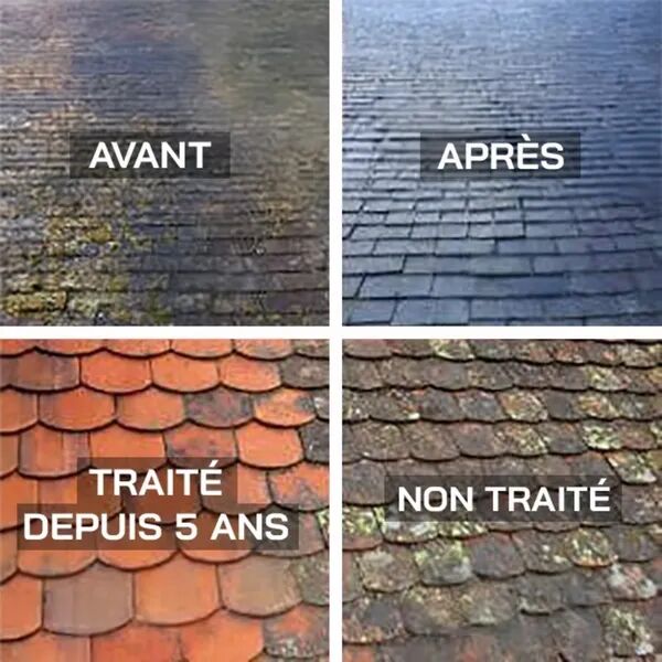 Entretien / Nettoyage / Démoussage